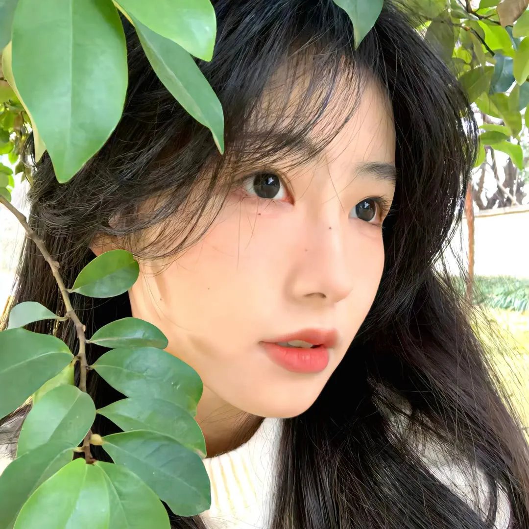 皇冠上的珍珠